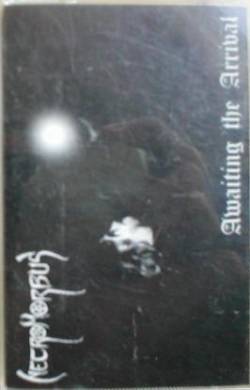 Awaiting the Arrival